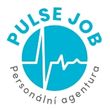 Logo logo pulse job